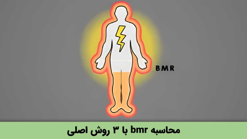 محاسبه bmr