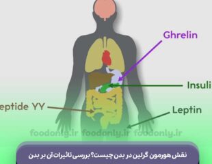 هورمون گرلین